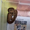 연수주공2 이미지