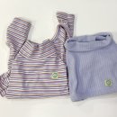 댕그랑 | 강아지 겨울옷 올인원 조끼 셋투 후기☃️from 댕그랑💙🩵