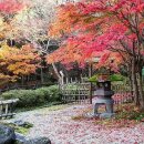 제일여관 이미지