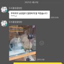 두리틀동물병원 | 두리틀동물병원 푸들 슬개골 수술 후기 (일주일 입원, 탈구 3기)