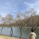 평거동 공영자전거무료대여소 이미지