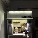 멍멍잇 | 논현 파스타 맛집 패티드(patted) 직접 다녀온 애견동반 솔직후기 (내돈내산)