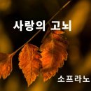 사랑의 고뇌/ 소프라노 임청화/ 시.곡 김성만 이미지