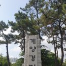 계양경기장 인라인스케이트장 이미지