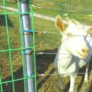 민재목장 이미지