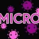 영앤이비인후과의원 이미지