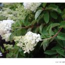 성남시립식물원 이미지