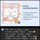 가영상사 손세차장 | 🌲우당탕탕 삿포로 1탄(LJ301/티마크 시티 호텔 삿포로 오도리) [2026.01.28 ~ 2026.01.31]