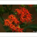 봉담호수공원 이미지