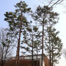 용두공원 앞 이미지