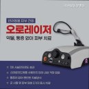 펫사랑 동물병원 | 목동동물병원 펫사랑동물병원 전문 진료 동물병원