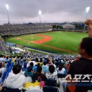 대구 신축야구장 불펜 관련 질문 이미지