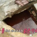 김인석 농장 이미지