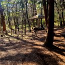 노루공원화장실 이미지