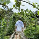 파인클라우드 이미지