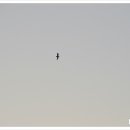 한산면보건지소 이미지