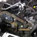 토마토모터스 이미지