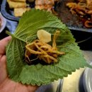 돈찌
