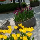 브라운스톤아파트 (101동 옆) 이미지