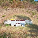 곡성묘천 이미지