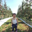 삼백농장 이미지