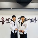 용인대 송라태권도장 이미지