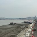 금강약품주식회사 이미지