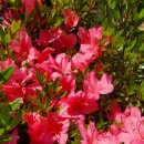 석암농장 이미지