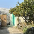 자미자미 스테이 이미지