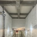 계절명가 | 가락시장방어명가수산 모듬회 포장 후기 돌아온 방어의 계절