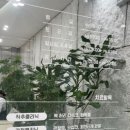 혜성정형외과의원 이미지