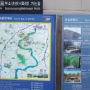 킹콩7080