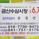 금산수삼센타7호