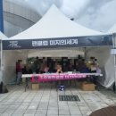 조용필 공연 후기 (2025 KBS 대기획 이순간을 영원히)