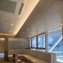 (주)더불어 | 강남다이어트한의원 추천 팔뚝살관리 지분주 라인컨택터 내돈내산 후기