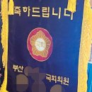 칠성파 조폭 간부 결혼식, 현역 국회의원 축기 논란 이미지