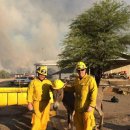 당나귀숲 이미지