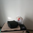 원동포시즌 | [원동 포시즌M] C11 C10 후기 ; 수영장 오픈! 계곡 물놀이 양산캠핑장