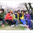 미인 Daum카페