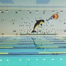 송악문화스포츠센터 수영장 이미지