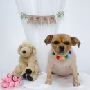 멍앤리치 이미지