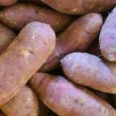 선영농장 이미지