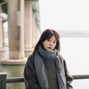 스타일펫츠 이미지