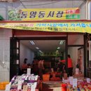 동양동시장