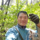 산삼고을 이미지