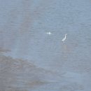 사격장앞 이미지