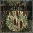 민들레 소극장 이미지