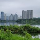 광교마트약국 이미지
