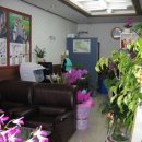 행운 공인중개사사무소 이미지