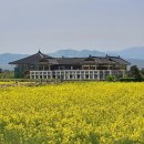 분황사주차장 이미지